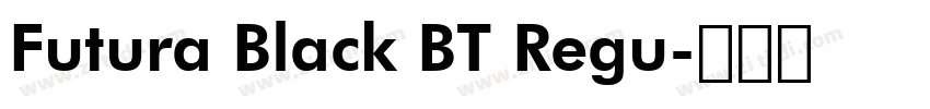 Futura Black BT Regu字体转换